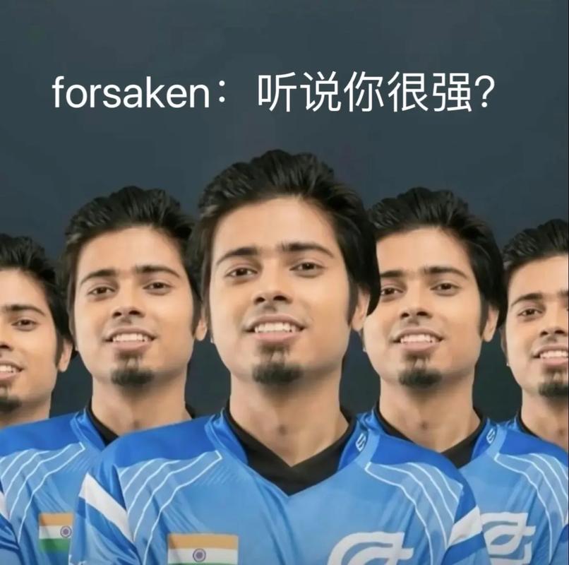 动案例
